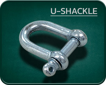 U-Shackle with Screw Pin