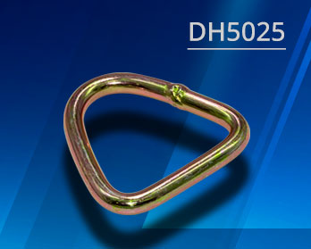 D-Ring รุ่น DH5025